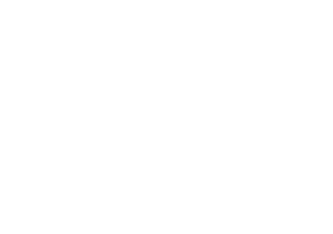 Honda Civic Type R 2024